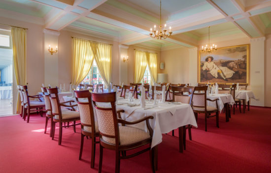 Restaurant im Seehotel Großräschen